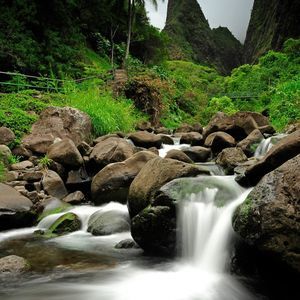 Meet your Posher, Terry